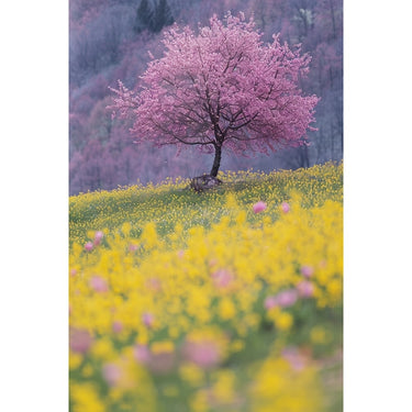 Floral Landscape Canvas